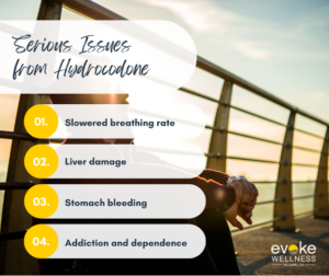 dangers of hydrocodone infographic 